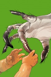 saga2_72web saga2 72web